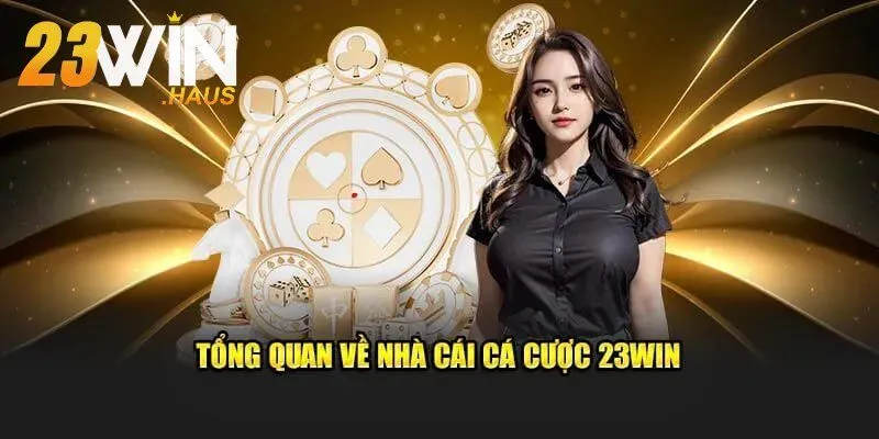 Trang chủ 23win 503 Giới thiệu đôi nét về thương hiệu nhà cái 23Win